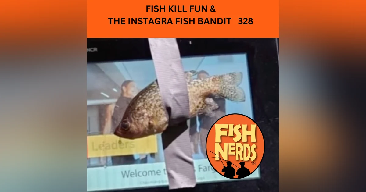 FISH KILL FUN &  THE INSTAGRA FISH BANDIT   328