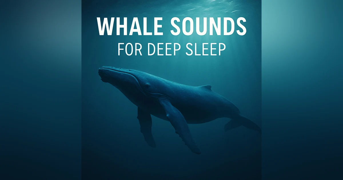 Whale Sounds for Deep Sleep 🌊 | Relaxing Ocean Ambience for Peaceful Rest