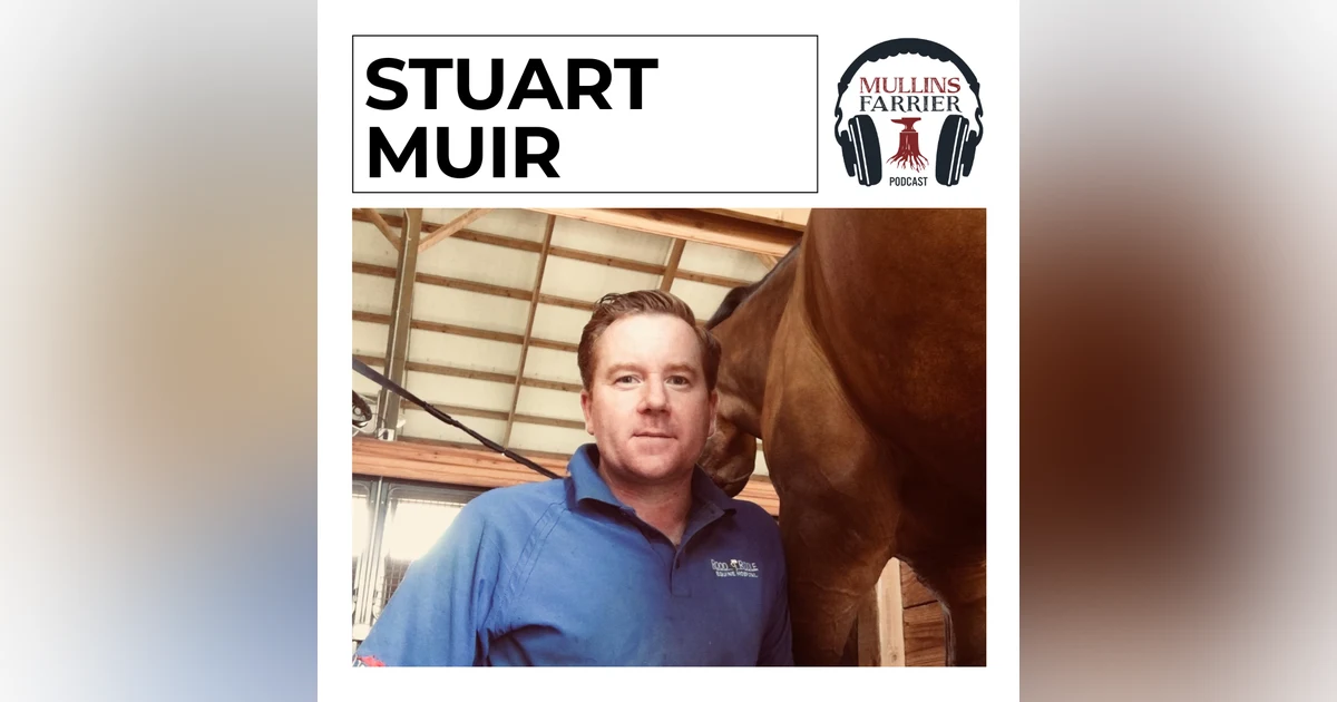 Stuart Muir Nzcef-CJF Dipwcf