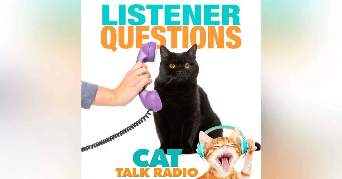 Listener Questions