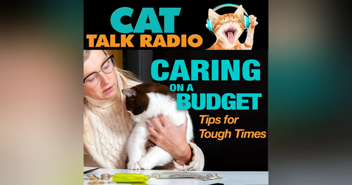 Caring for Cats on a Budget