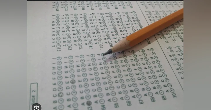 image for What Does State Testing Test Anyway?