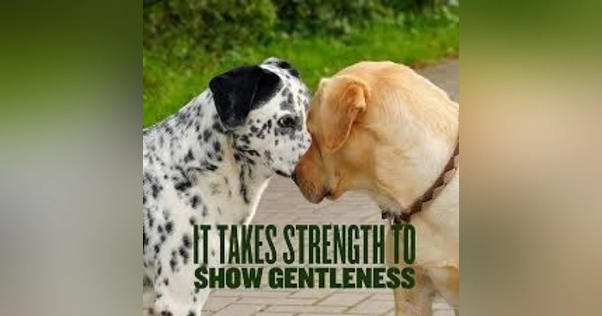 Christian Experience of God #19 Gentleness