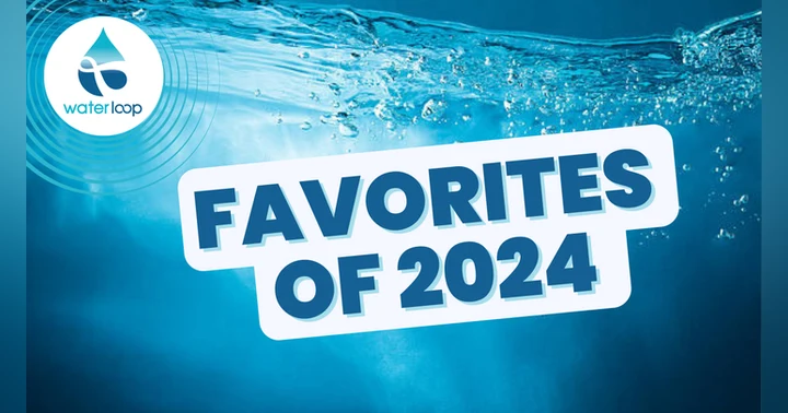 image for Favorites of 2024
