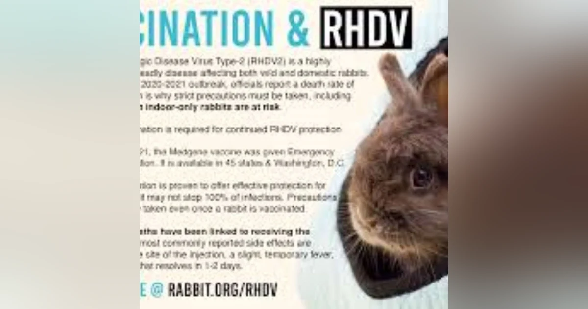 S6 E4: Little Bunny Foo Foo: The Story of Rabbit Hemorrhagic Disease Virus