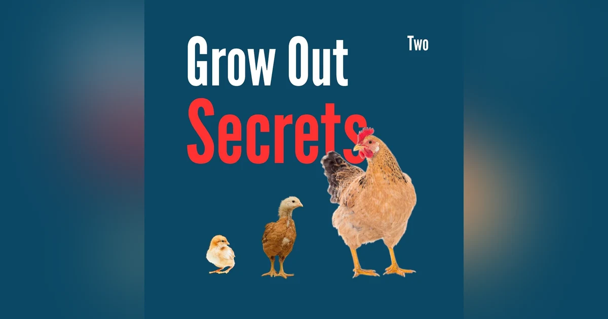 Grow Out Secrets-Part 2