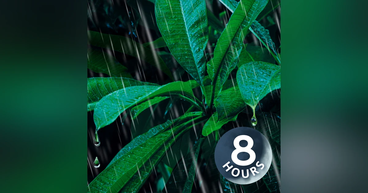 Rain and Thunder Sounds for Sleep and Relaxation | 8 Hour