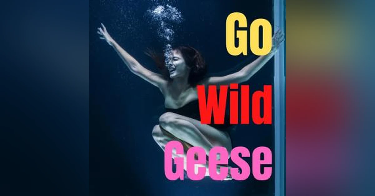 Go Wild Geese