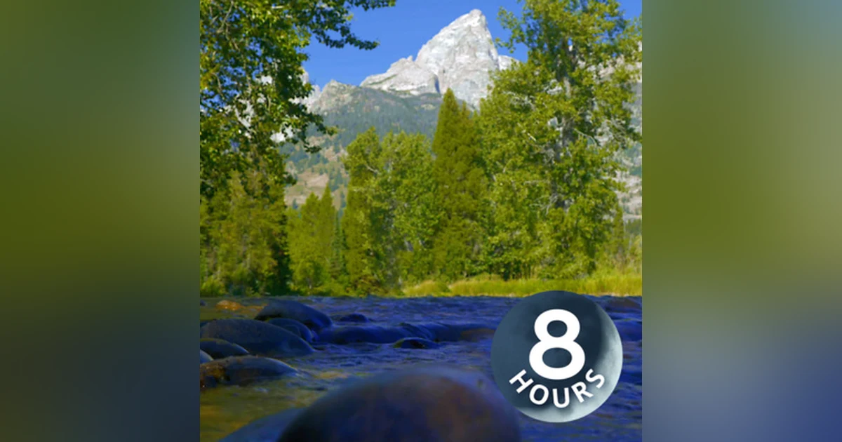 Mountain Stream Water Sounds for Relaxation, Studying or Sleeping | White Noise 8 Hours