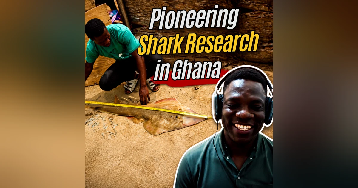 Saving Ghana's Guitarfish: Inside West Africa's First Shark Science Program