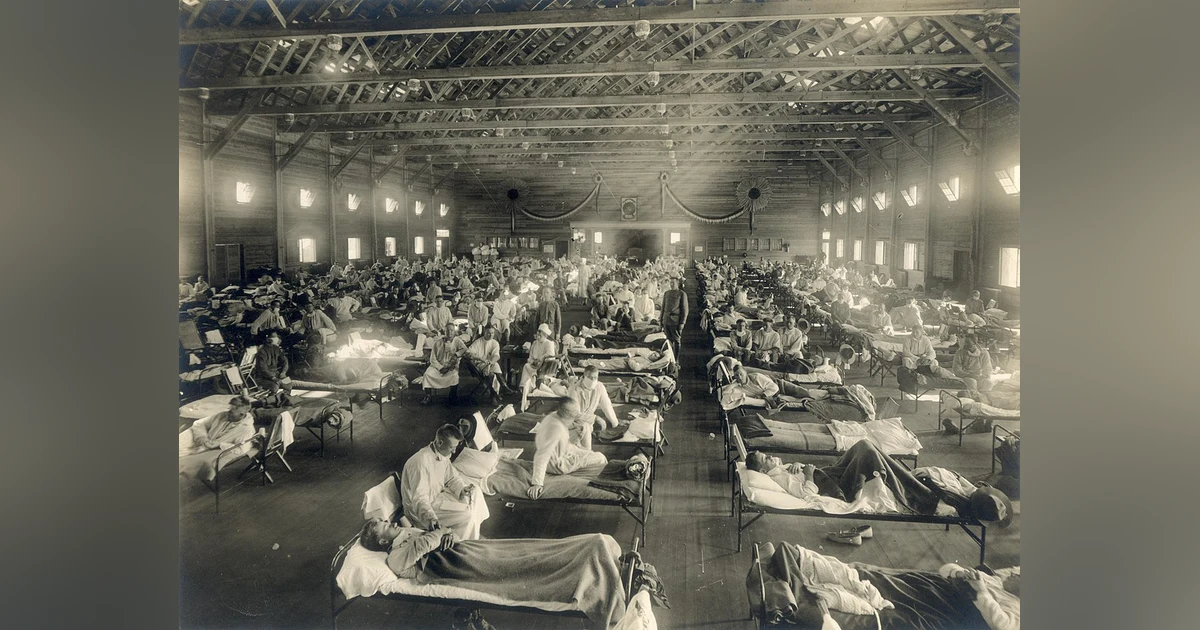 The Spanish Flu