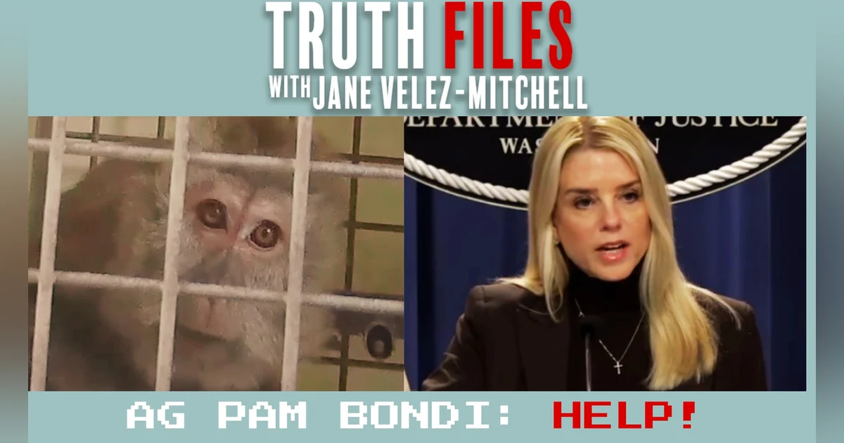 Why PETA Begs AG Pam Bondi to Save 1,200 Monkeys Now