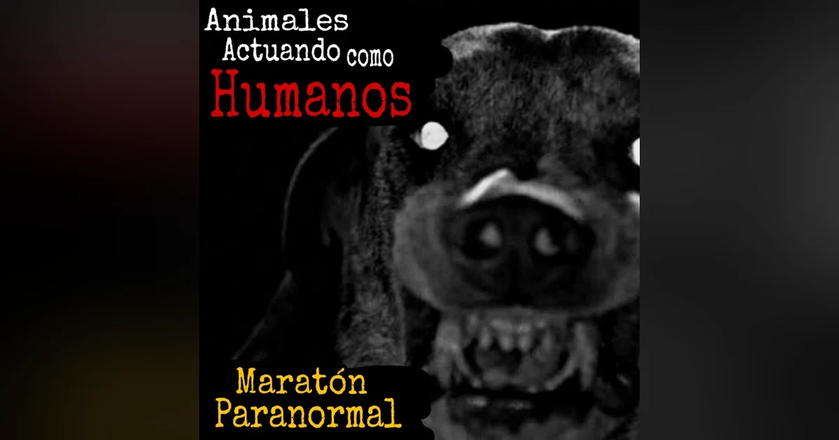 Aterradoras Experiencias de Animales Actuando como Humanos / Maratón Paranormal / L.C.E.