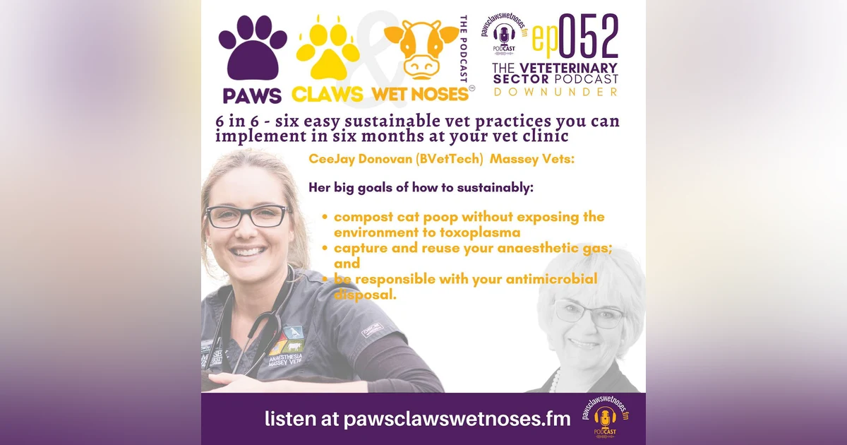 Sustainable Vet Practices - 6 easy to implement differences you can make in your vet clinic in 6 months - 052