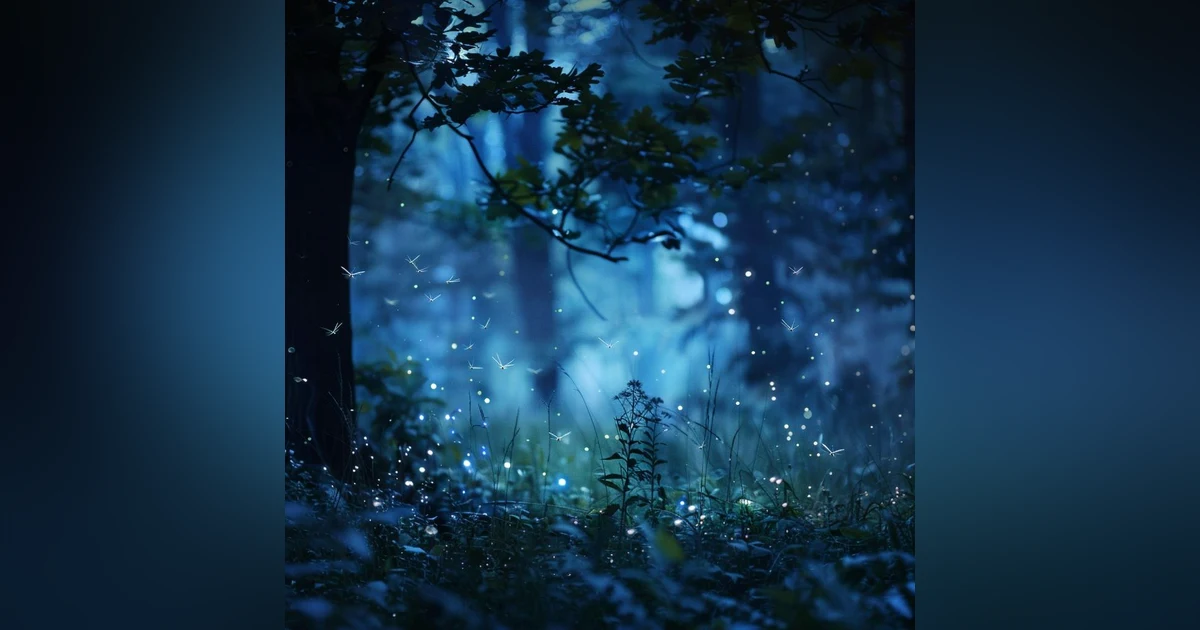 FOREST AT NIGHT Crickets Sounds for Relax Study Sleep De-Stress 🎧 100% RELAX