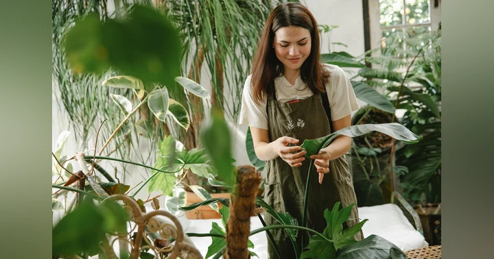 image for Love in the Workplace: What’s Consciousness Got to Do With It?