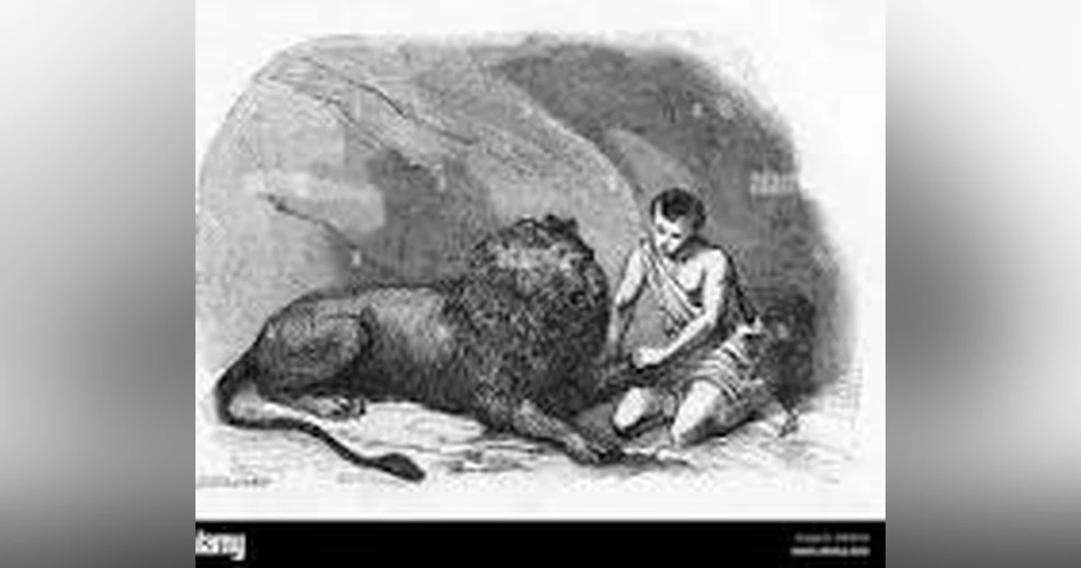 A TINY LITTLE THING and ANDROCLUS & THE LION   TALES FOR ALL AGES