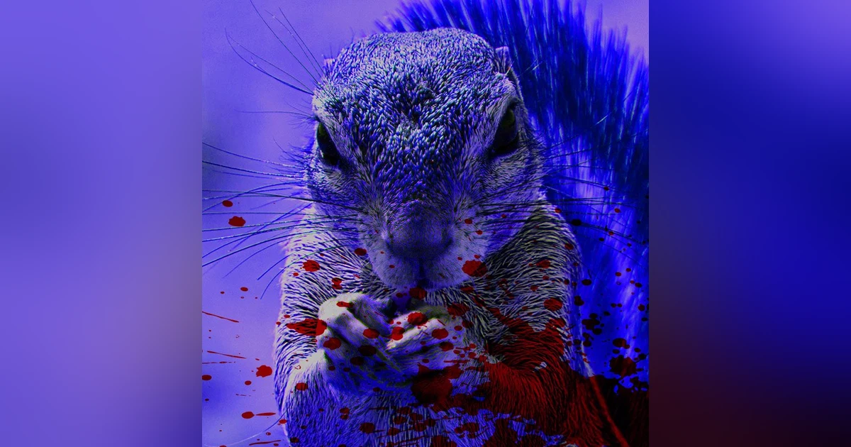 Ep.128 – Squirrels - MURDER Comes In Small Packages!