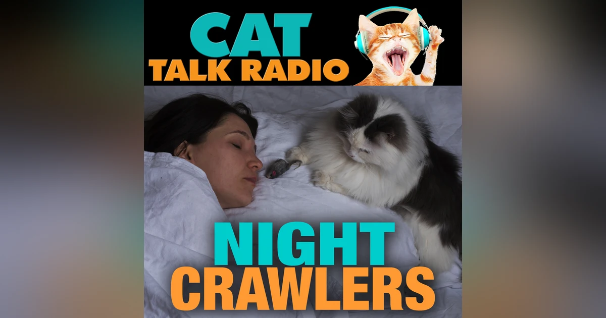Night Crawlers: Why Cats Go Wild After Dark