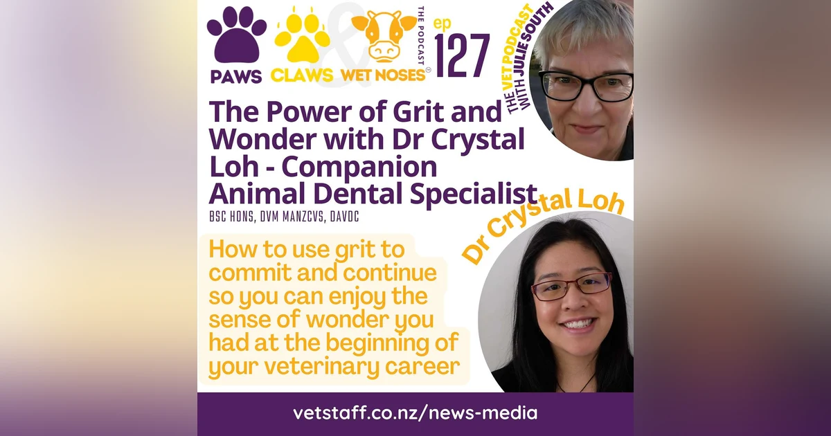 Personal Power - Grit + Wonder - A Chat with Companion Animal Dental Specialist - Dr. Crystal Loh - pt 2 - ep 127