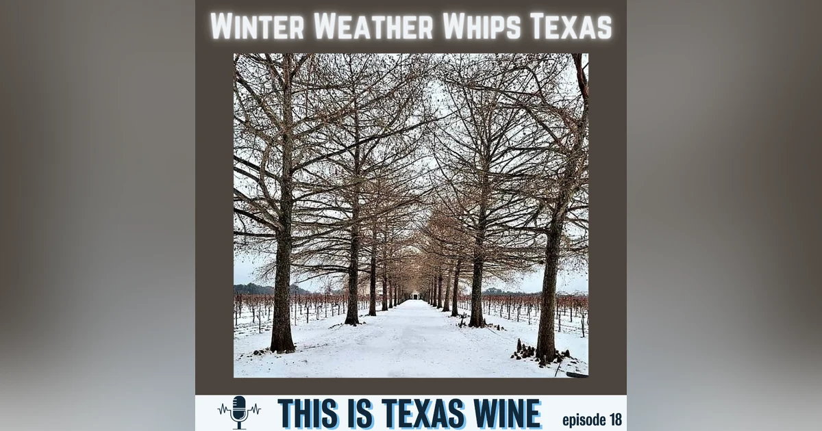 Winter Weather Whips Texas: What's Next for Texas Wine?