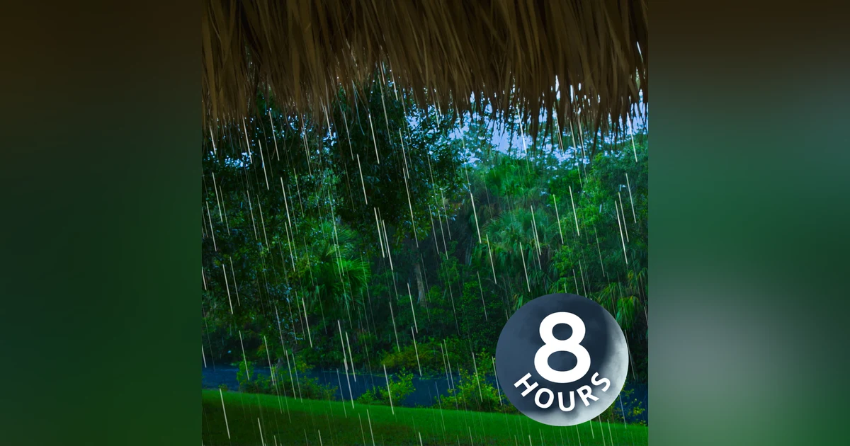Rain Sounds to Sleep to Tonight! | 8 Hour White Noise for Sleeping