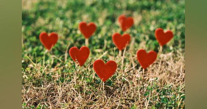 image for When Systems and Heart Grow Together