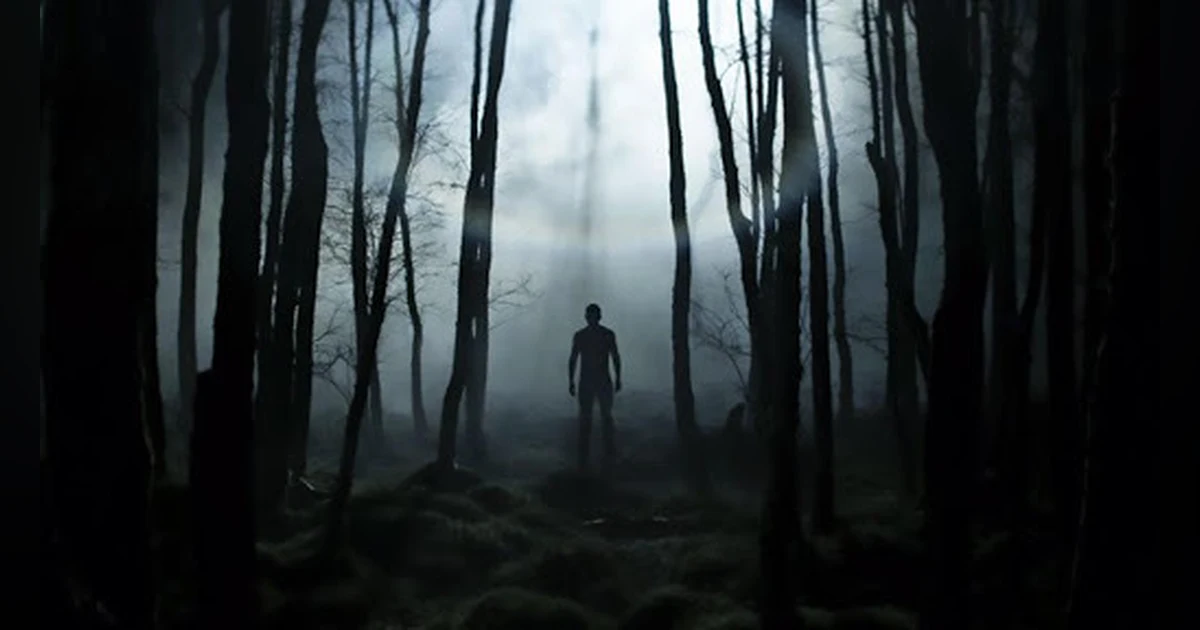 Creeper in the Woods