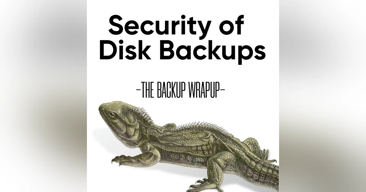 Disk Backup Security - Disk Make Things Worse?