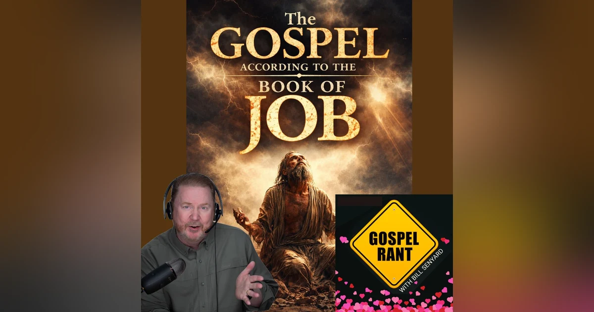 The Gospel According to Job 4