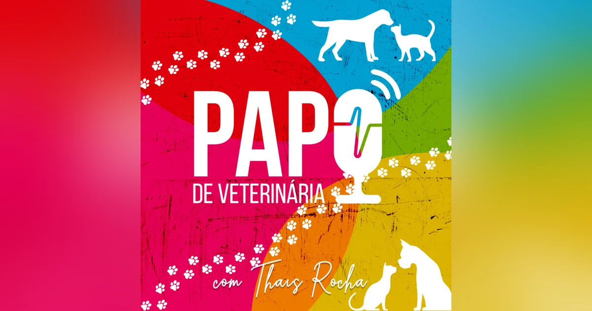 O trabalho com pets idosos - Karine Kleine e a Geriatria Veteirnária