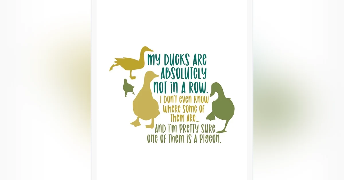Get Your Ducks in a Row (or Your Crap in Gear)