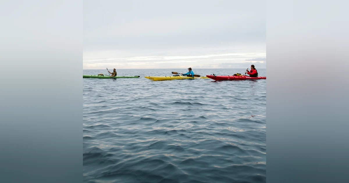 #31 - Cuba to Key West with Andy Cochrane, Luke Walker, and Wyatt Roscoe