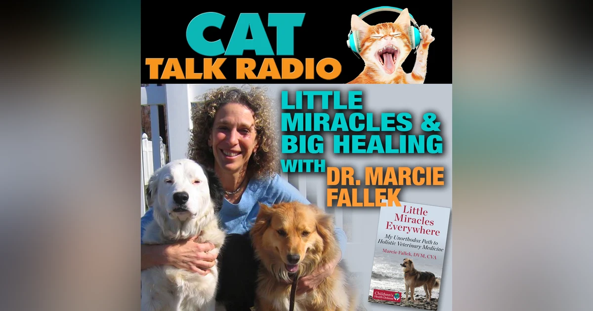 Little Miracles & Big Healing: A Conversation with Dr. Marcie Fallek