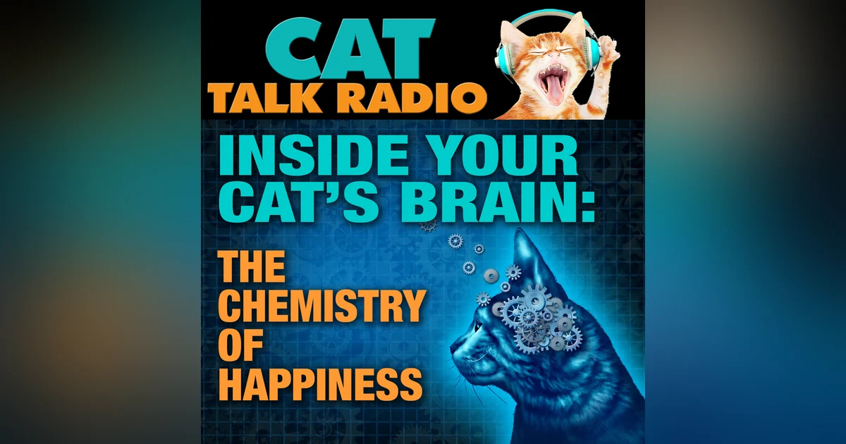 Inside Your Cat's Brain: The Chemistry of Happiness