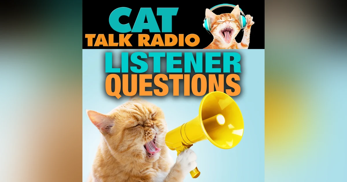Listener Questions: Curious Cat Questions from Around the World