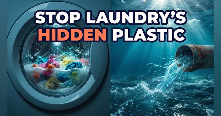 image for The 90 Percent Fix Hiding in Your Laundry Room