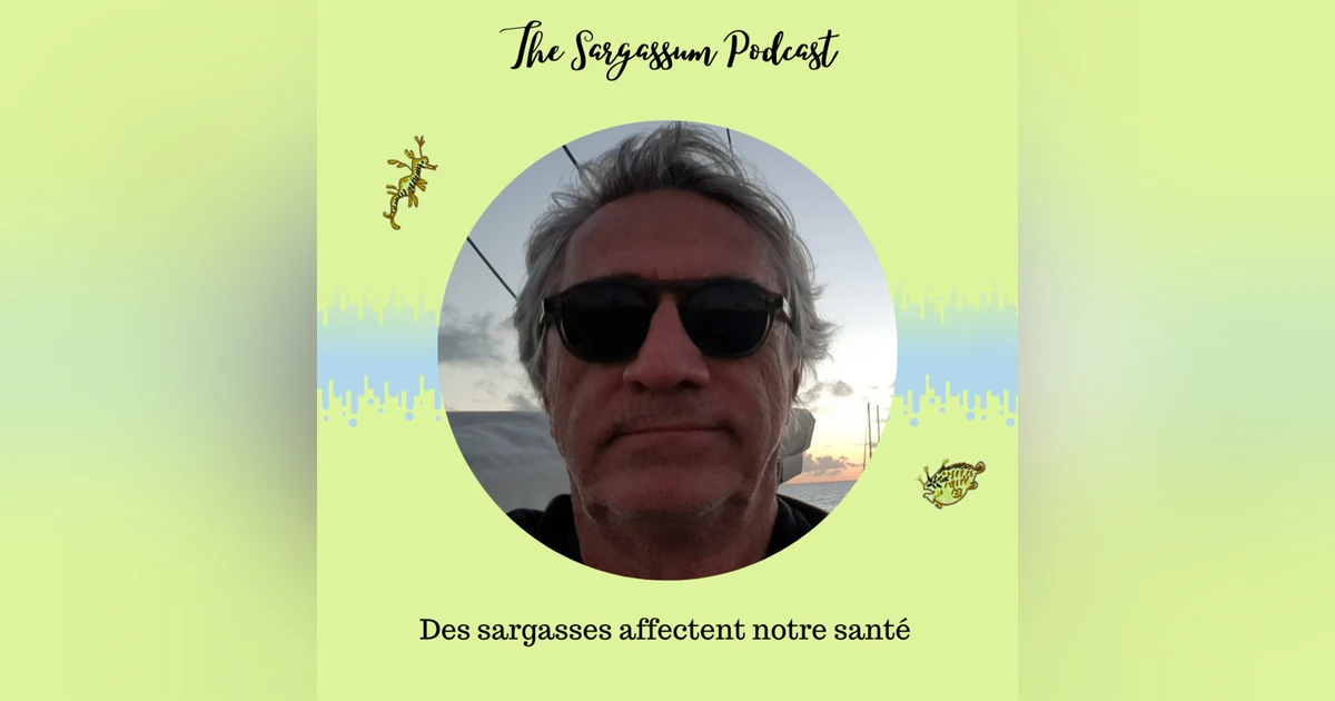 Episode 7 : Impacts des sargasses sur la santé avec le docteur Thierry Lebrun