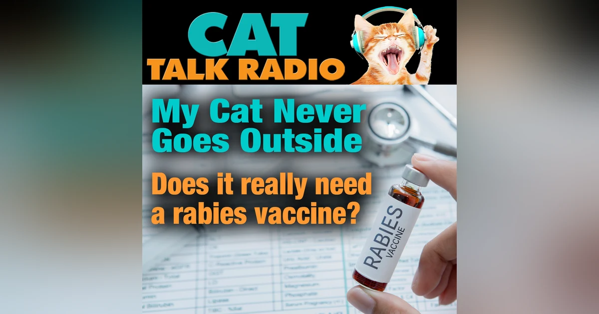 My Cat Never Goes Outside… Does It Really Need a Rabies Vaccine?