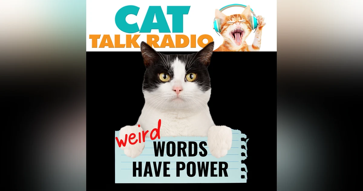 Fecal Euphoria, Sploots & Bunting: The Weird World of Cat Terms