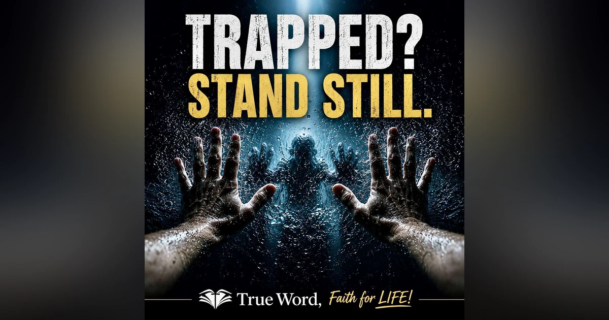 TRAPPED.  STAND STILL?