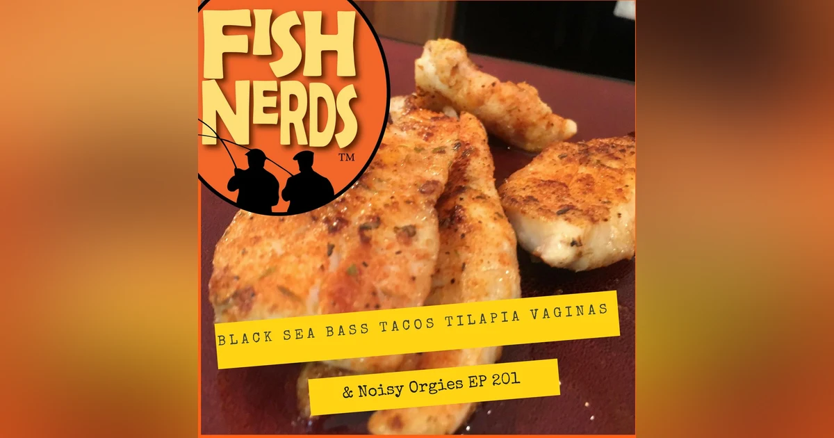 Black Sea Bass Tacos Tilapia Vaginas and Noisy Orgies