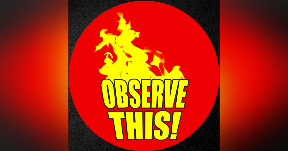 Observe This! - February 1989 | Mega Powers | Flair/Steamboat/Chicago
