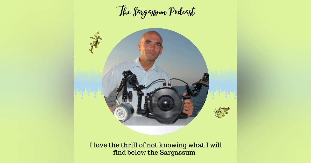 Episode 11: The beautiful world below Sargassum mats with Chris Gug
