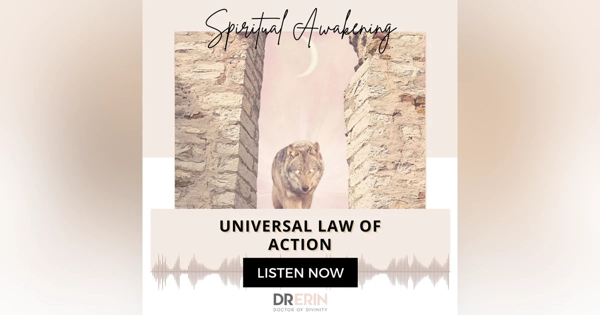 Universal Law of Action {33 of 52 series}