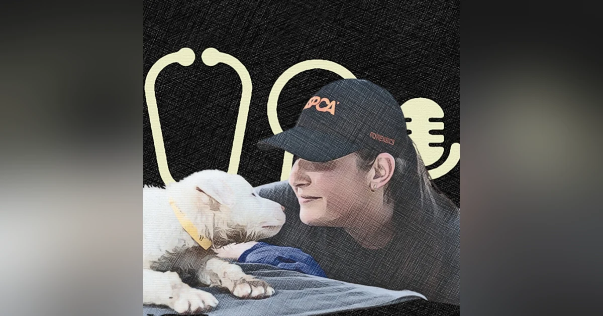 #119: You’re Already a Forensic Vet - You Just Didn’t Know It: How to Get Better at It, and Why It Matters. With Dr Elizabeth Pearlman