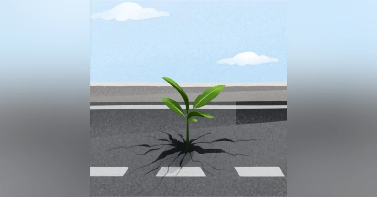 Rising Strong: Embracing Vulnerability and Harnessing Resilience