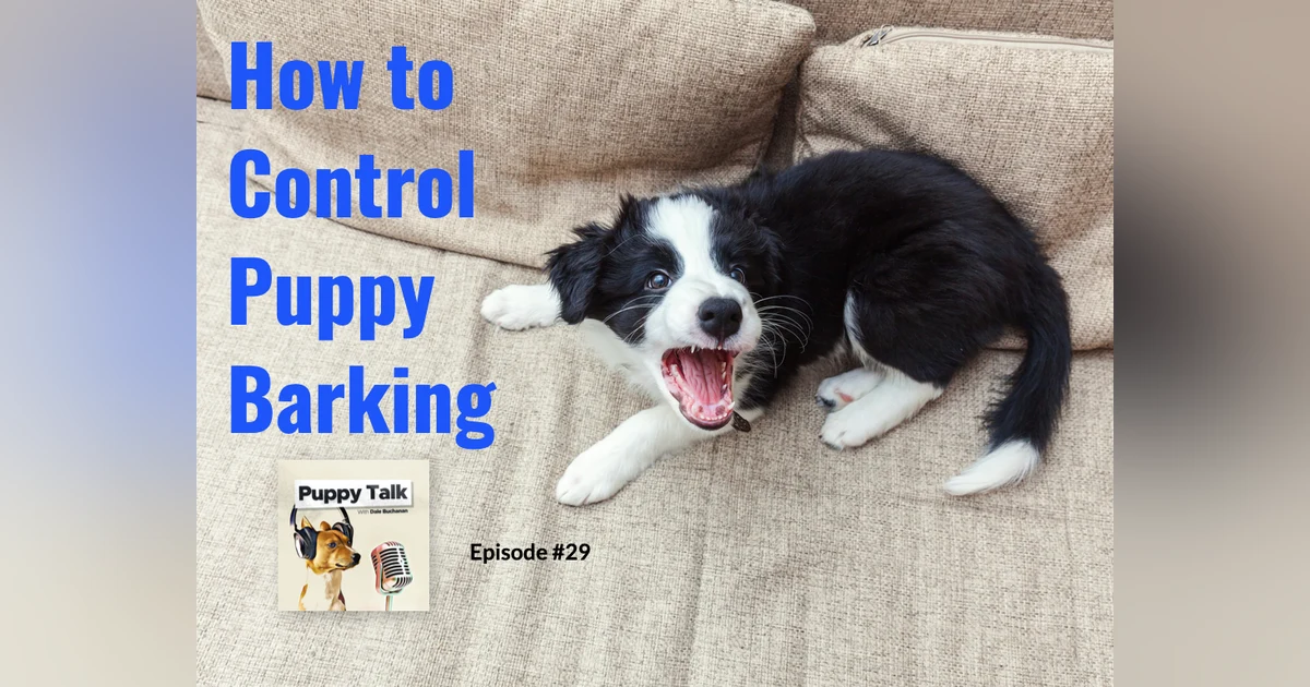 How to Control Puppy Barking