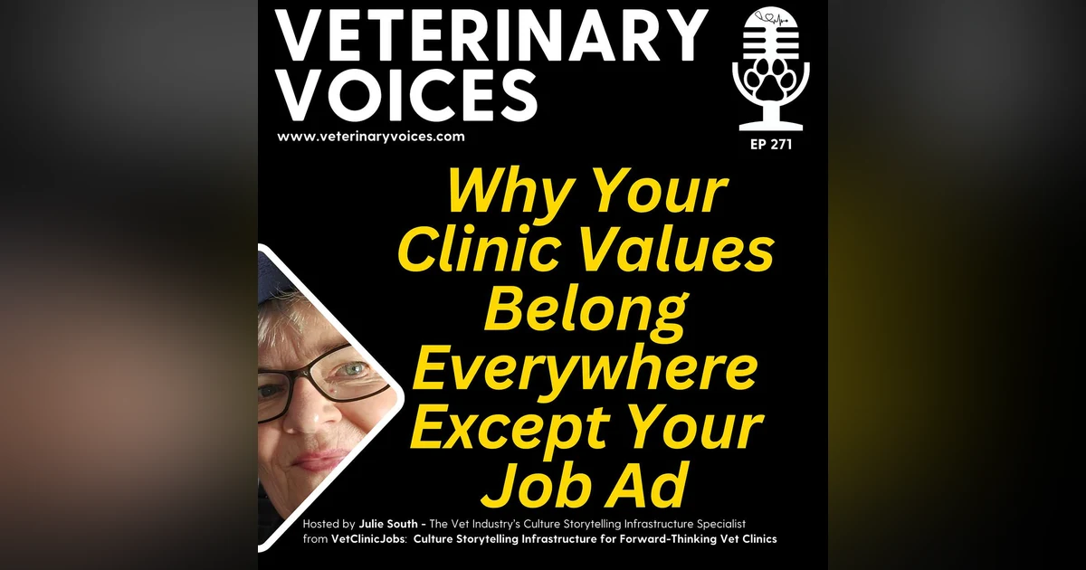 Why Your Clinic Values Belong Everywhere Except Your Job Ad - ep. 272