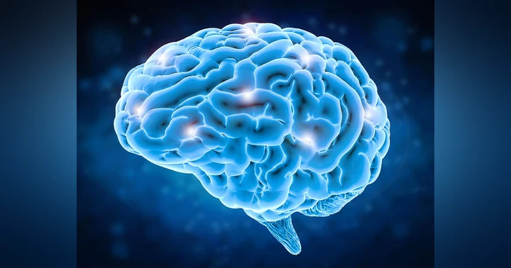 image for Can the human mind survive immortality?